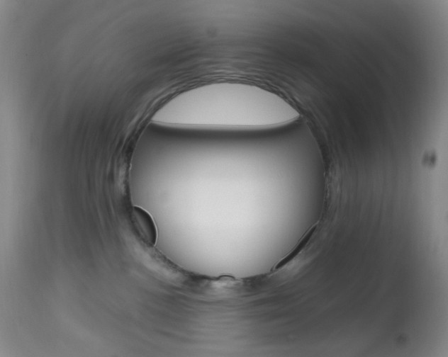 X0000112970188200908270952
