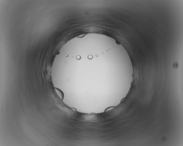 X0000112970189200908270952