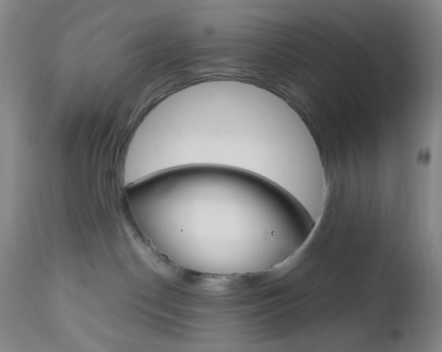 X0000112970190200908270952