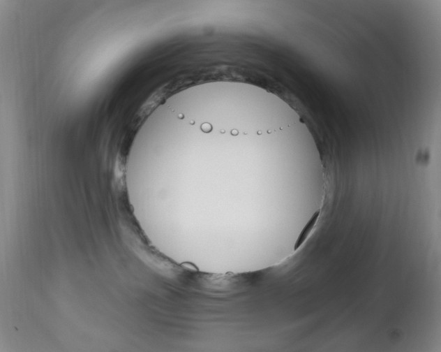 X0000112970191200908270952