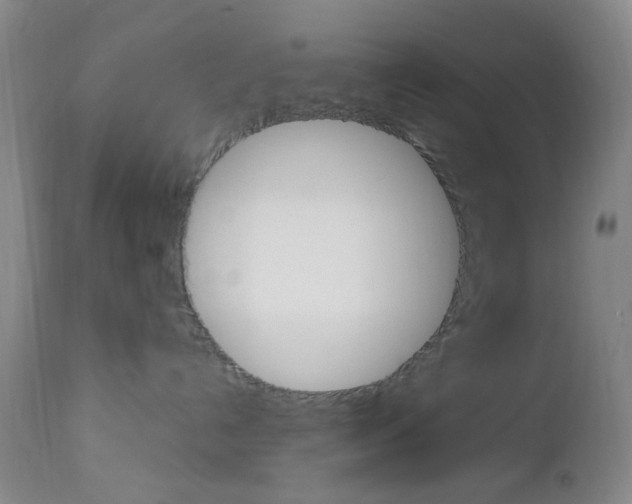 X0000112970192200908270952