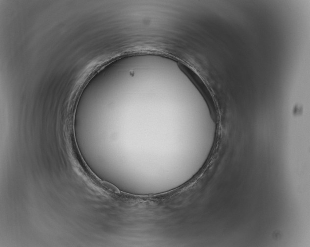 X0000112970193200908270952
