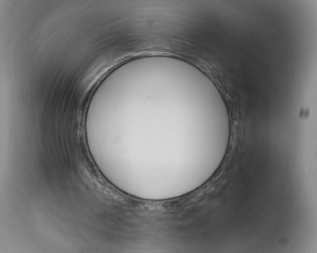 X0000112970194200908270952