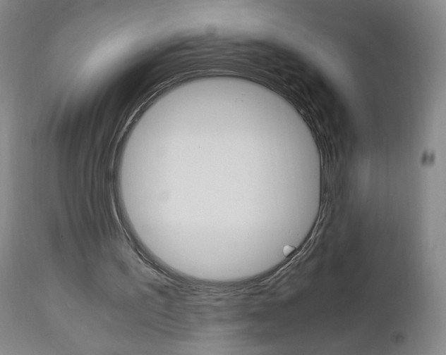 X0000112970195200908270952