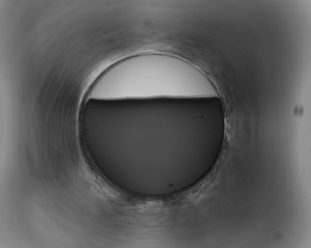 X0000112970196200908270952