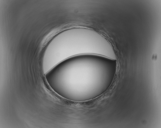 X0000112970197200908270952