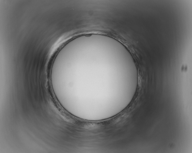 X0000112970198200908270951