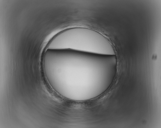 X0000112970200200908270951