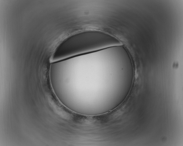X0000112970201200908270951