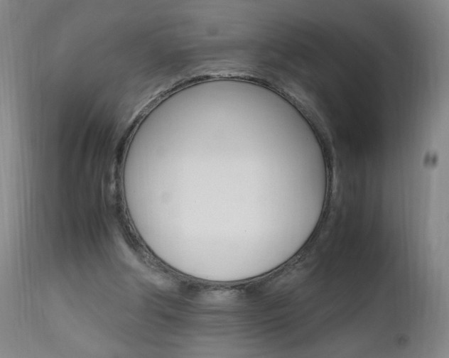 X0000112970202200908270951