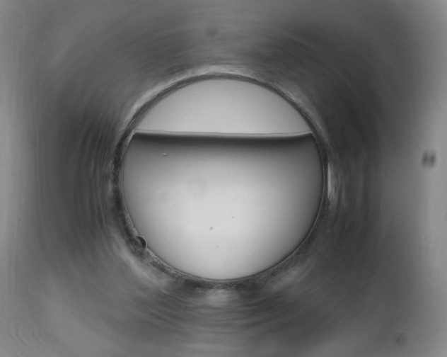 X0000112970204200908270951