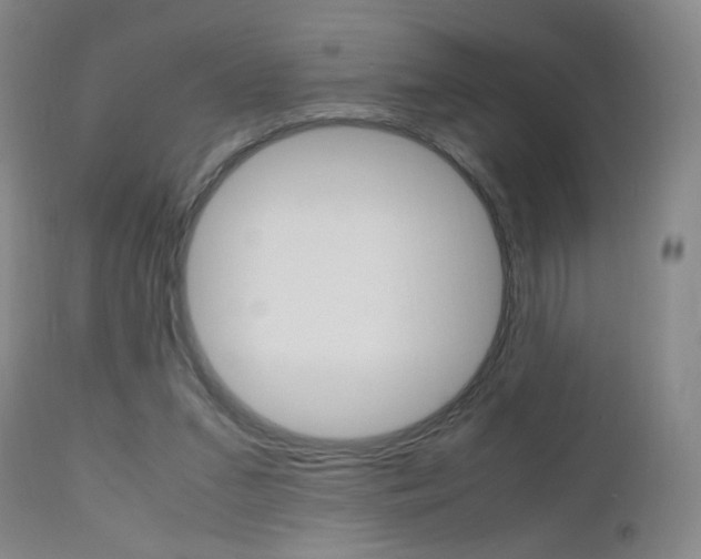 X0000112970207200908270951