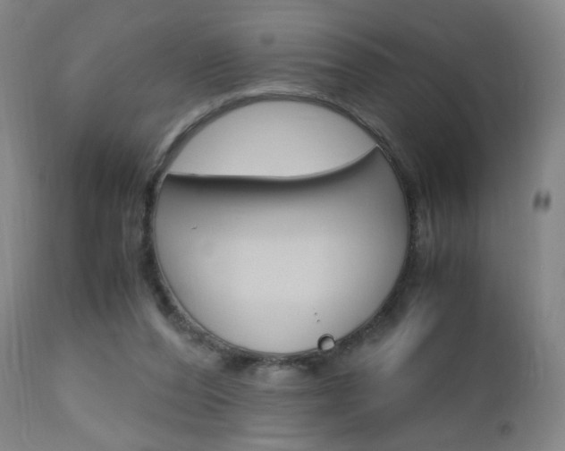 X0000112970208200908270951