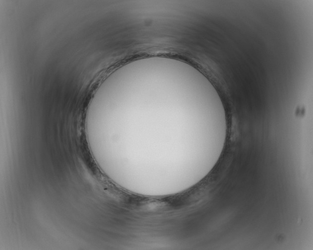 X0000112970210200908270951