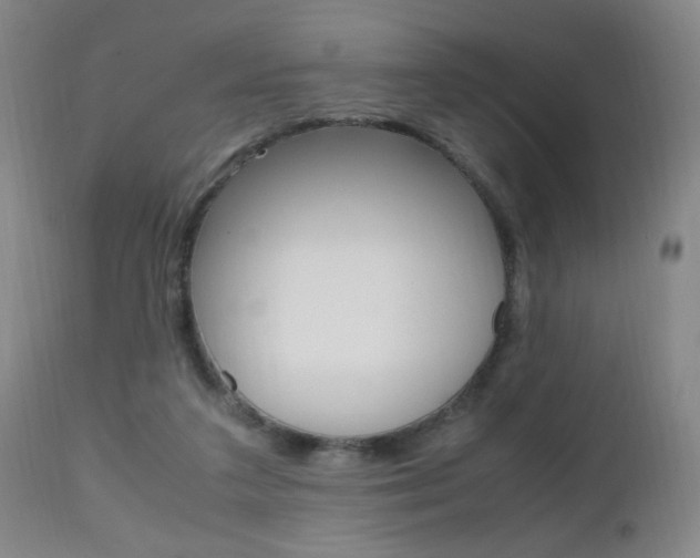 X0000112970211200908270951