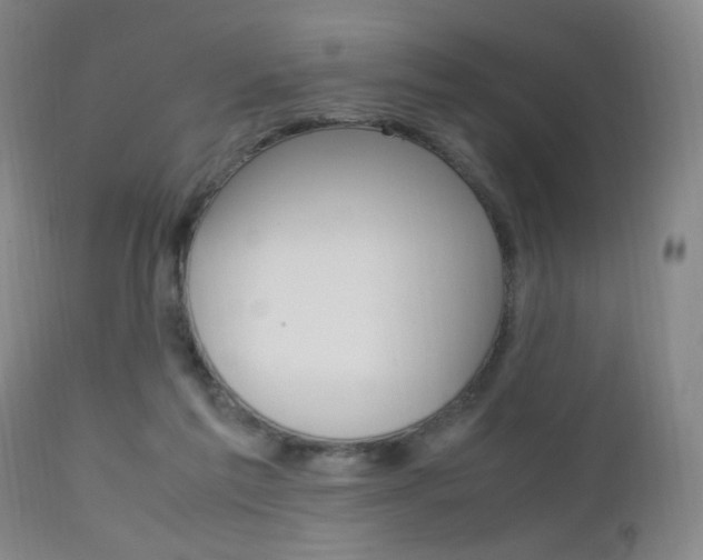 X0000112970213200908270951