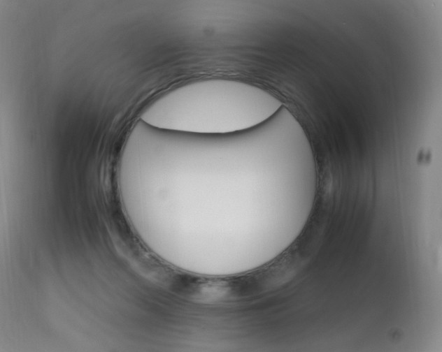 X0000112970214200908270951