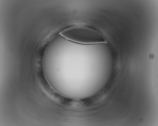X0000112970215200908270951