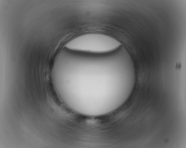 X0000112970216200908270951