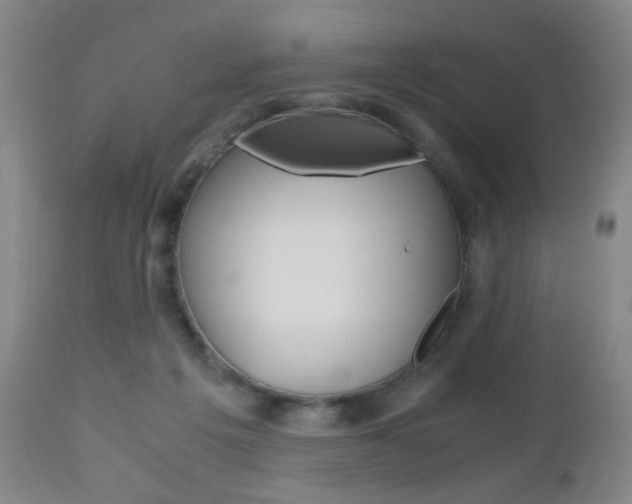 X0000112970217200908270951