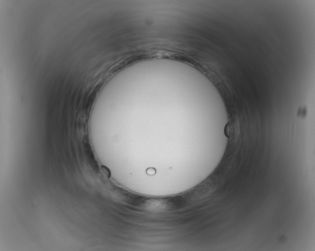 X0000112970218200908270951