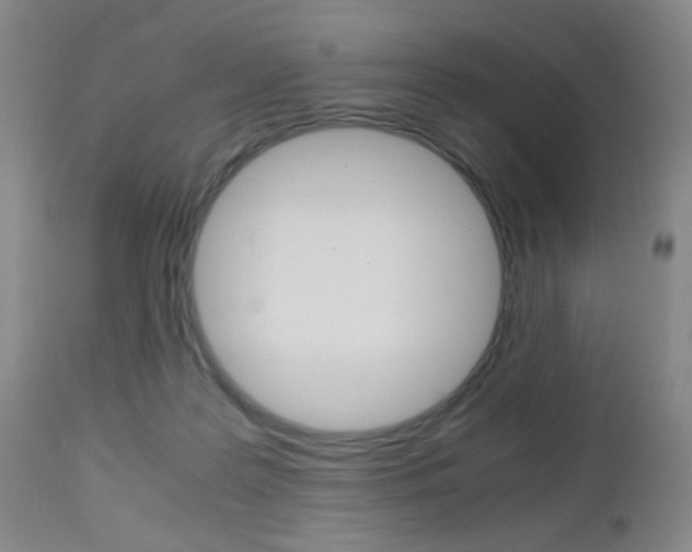 X0000112970219200908270951