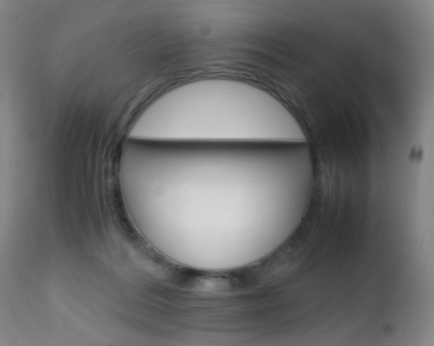 X0000112970220200908270951