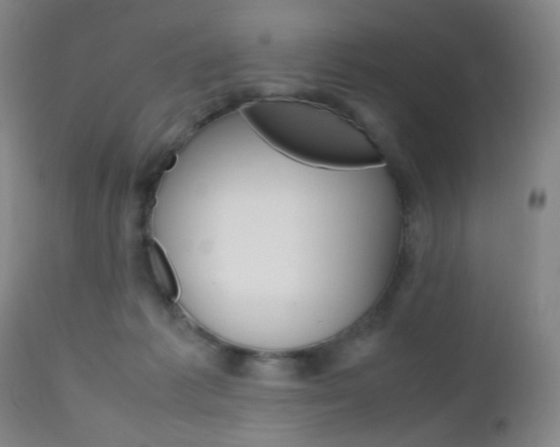 X0000112970221200908270951