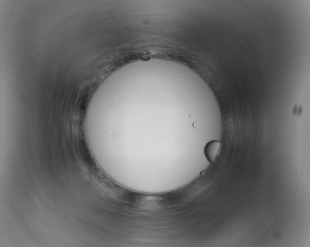X0000112970222200908270951