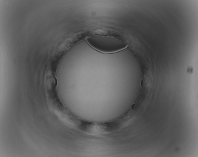X0000112970223200908270951