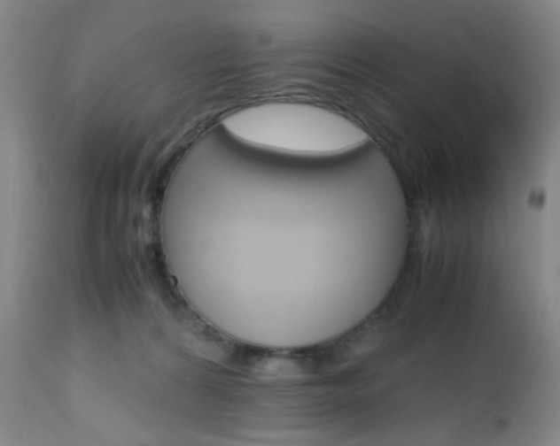 X0000112970224200908270951