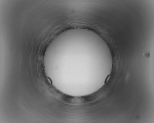 X0000112970225200908270951