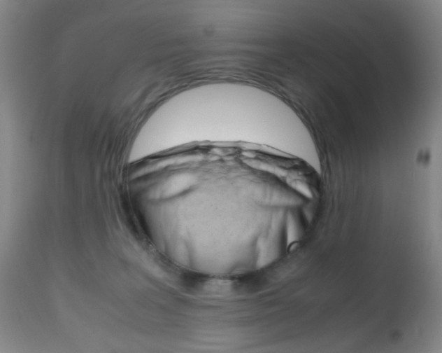 X0000112970227200908270951