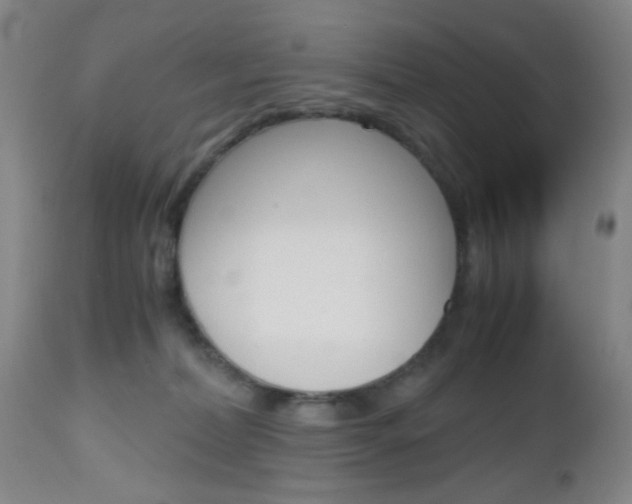 X0000112970228200908270951