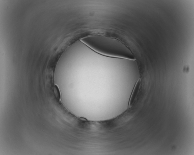 X0000112970229200908270951