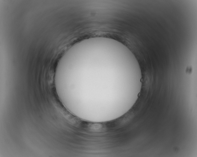 X0000112970230200908270951