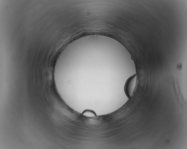 X0000112970232200908270951