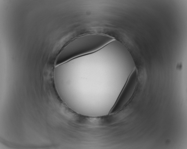 X0000112970233200908270951