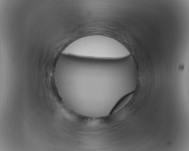 X0000112970235200908270951