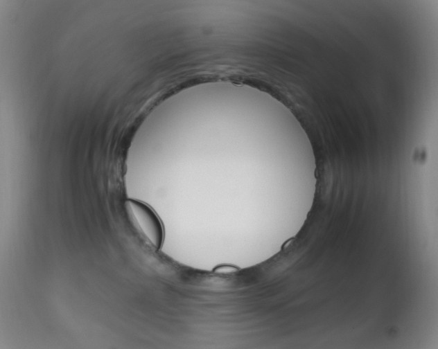 X0000112970236200908270951