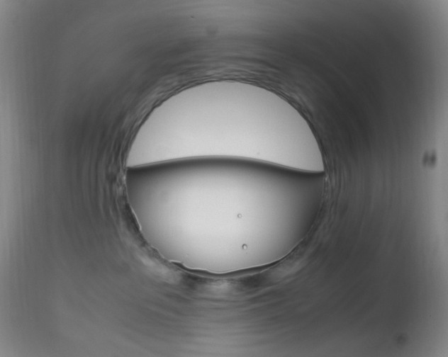 X0000112970237200908270951