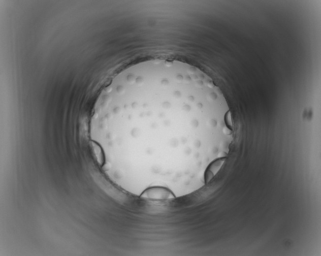 X0000112970238200908270951