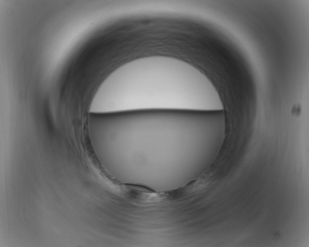 X0000112970239200908270951