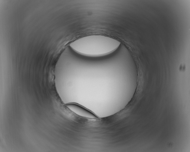 X0000112970240200908270951