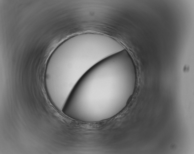 X0000112970241200908270950