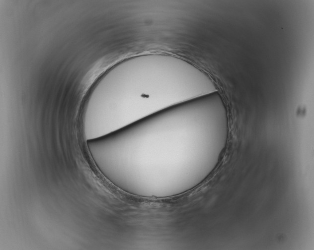 X0000112970242200908270950