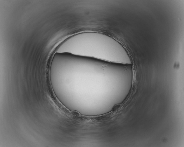 X0000112970243200908270950