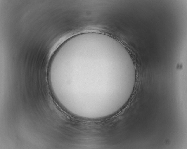 X0000112970244200908270950