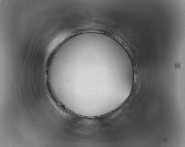X0000112970245200908270950
