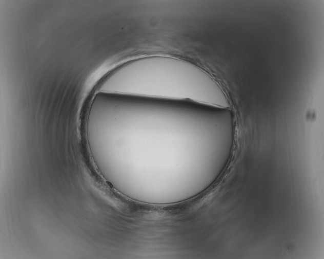 X0000112970246200908270950